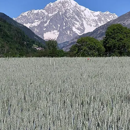 D'hotes Vista Monte Bianco Guest house *