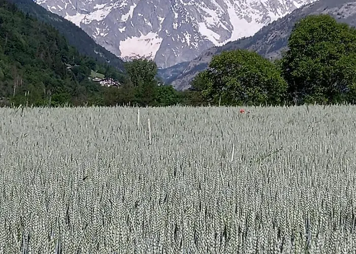 D'hotes Vista Monte Bianco Guest house *